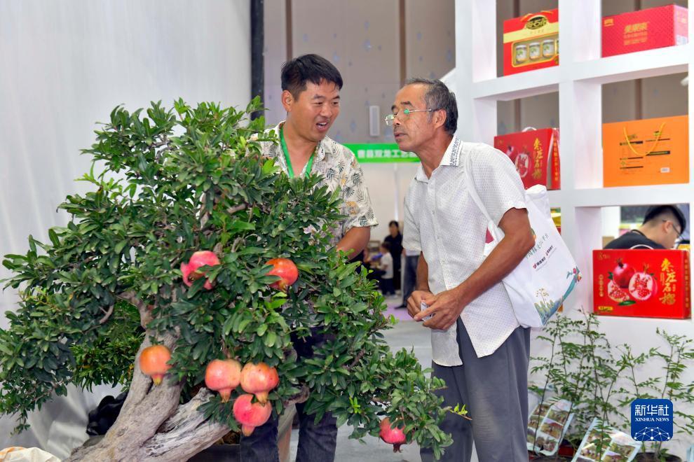 永利网投